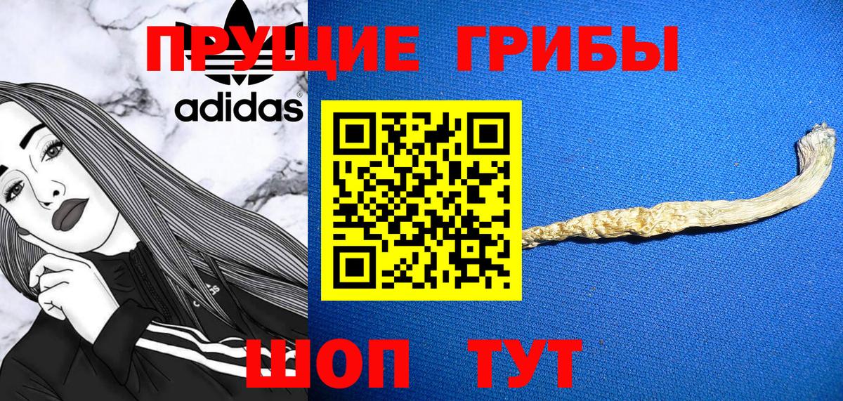 Псилоцибиновые грибы мухоморы Балтийск