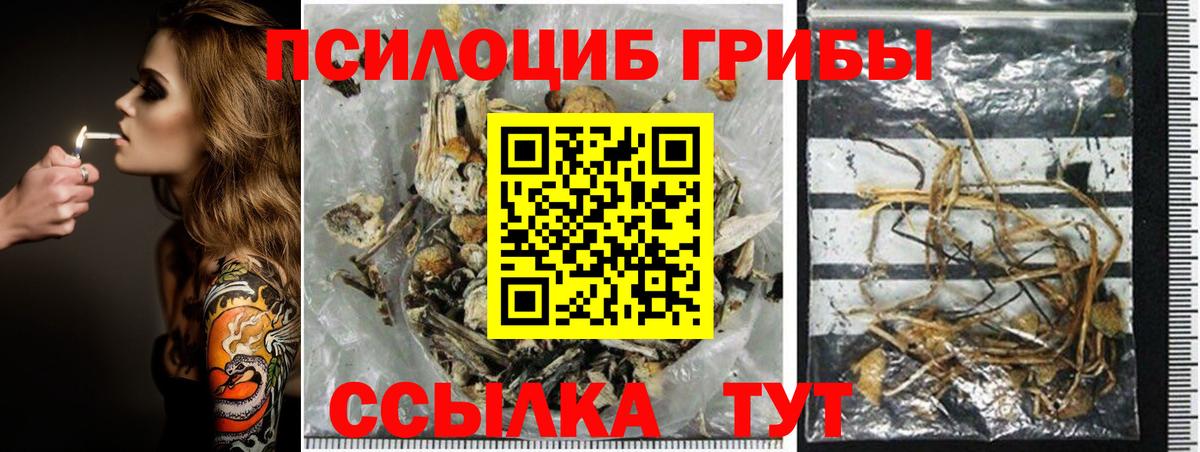 Галлюциногенные грибы мухоморы  Вход с VPN  продажа наркотиков  Балтийск 